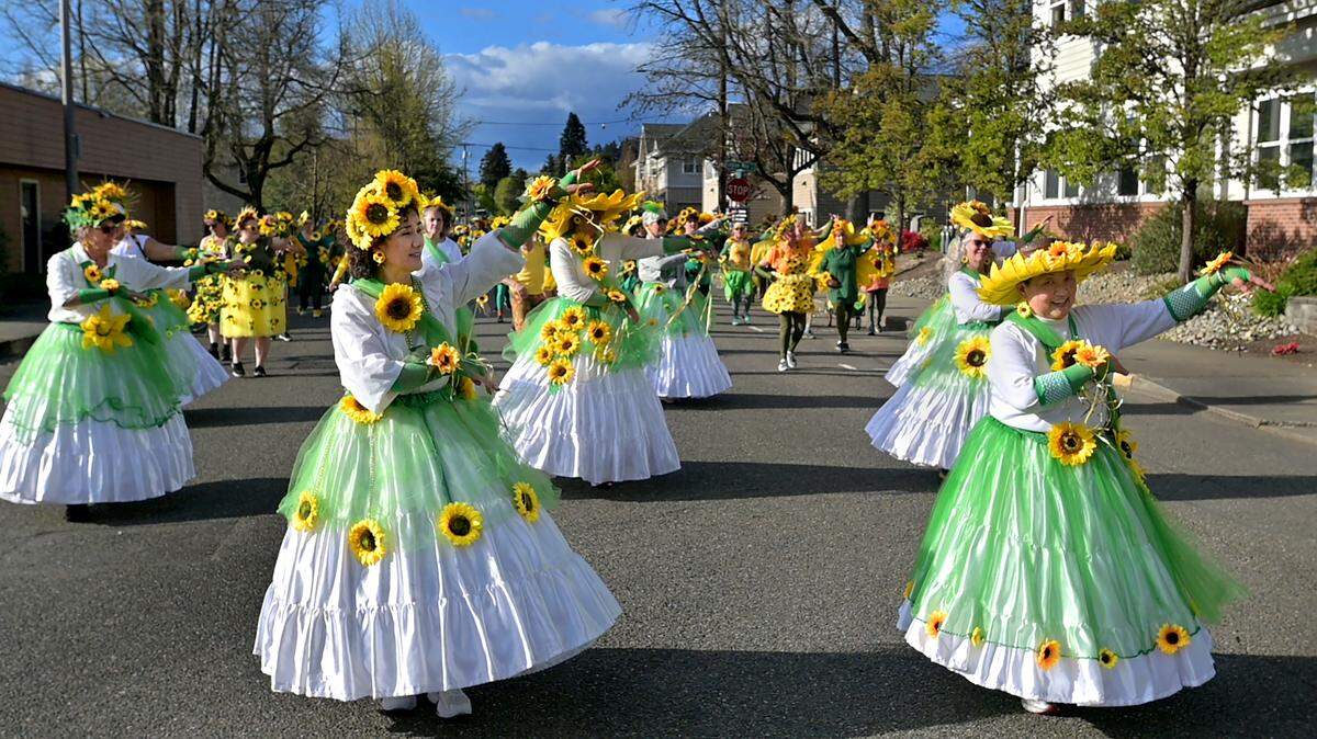 Samba OlyWa will bring the rhythm to Procession of the Species